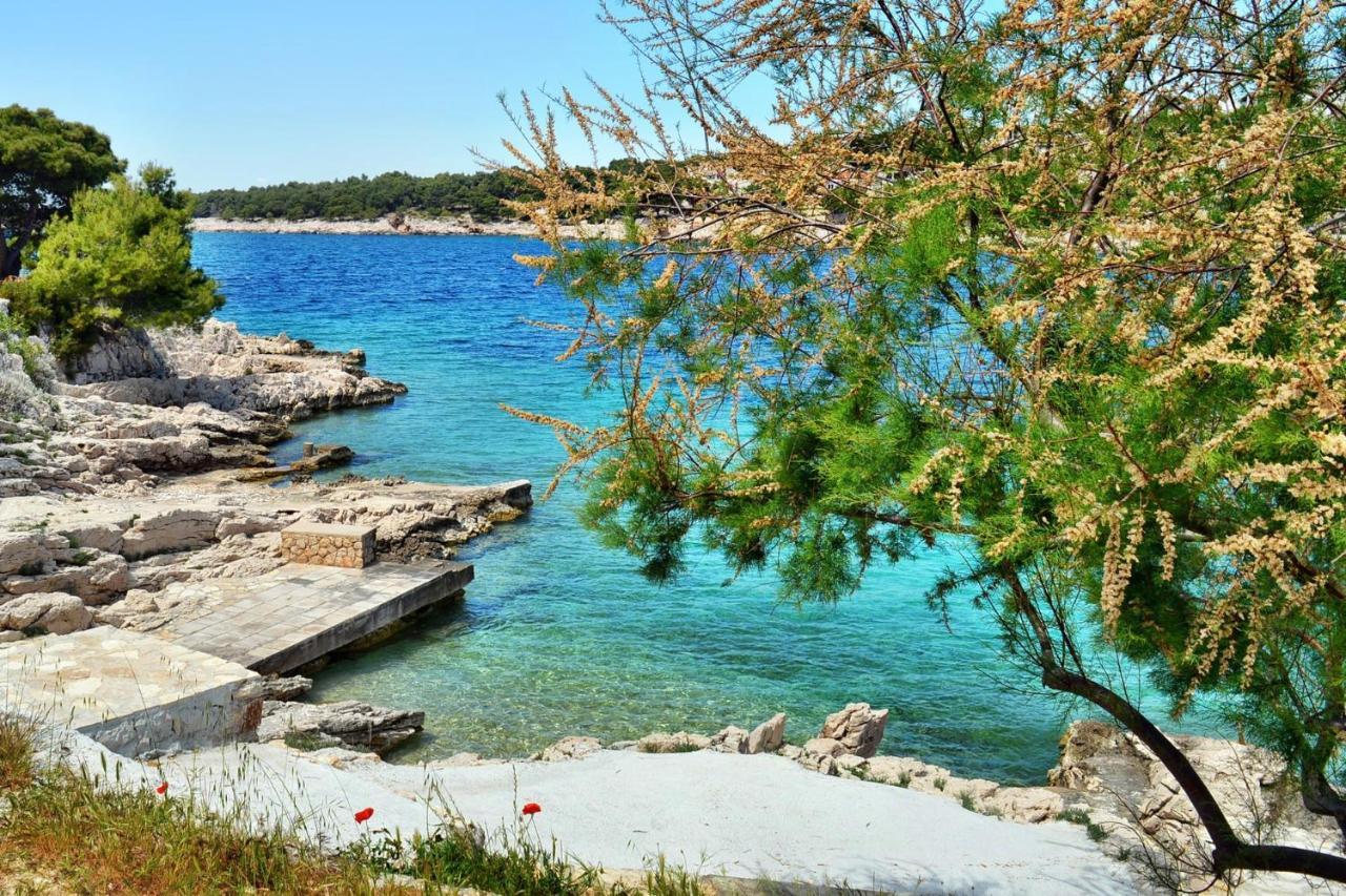 Apartments By The Sea Bilo, Primosten - 8364 Extérieur photo